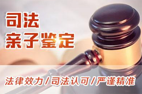 资阳司法DNA鉴定需要怎么办理,资阳司法DNA鉴定收费多少